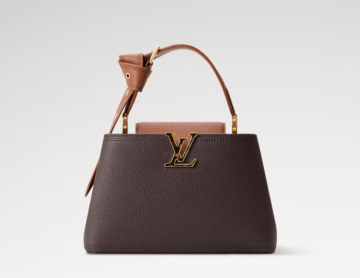 Сумка LV